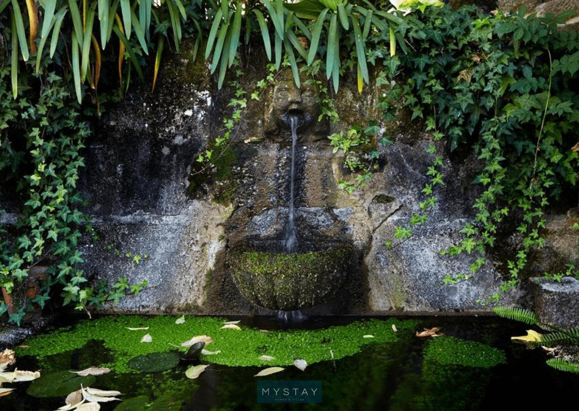 Mystay - Quinta Da Balanca Terras de Bouro Buitenkant foto